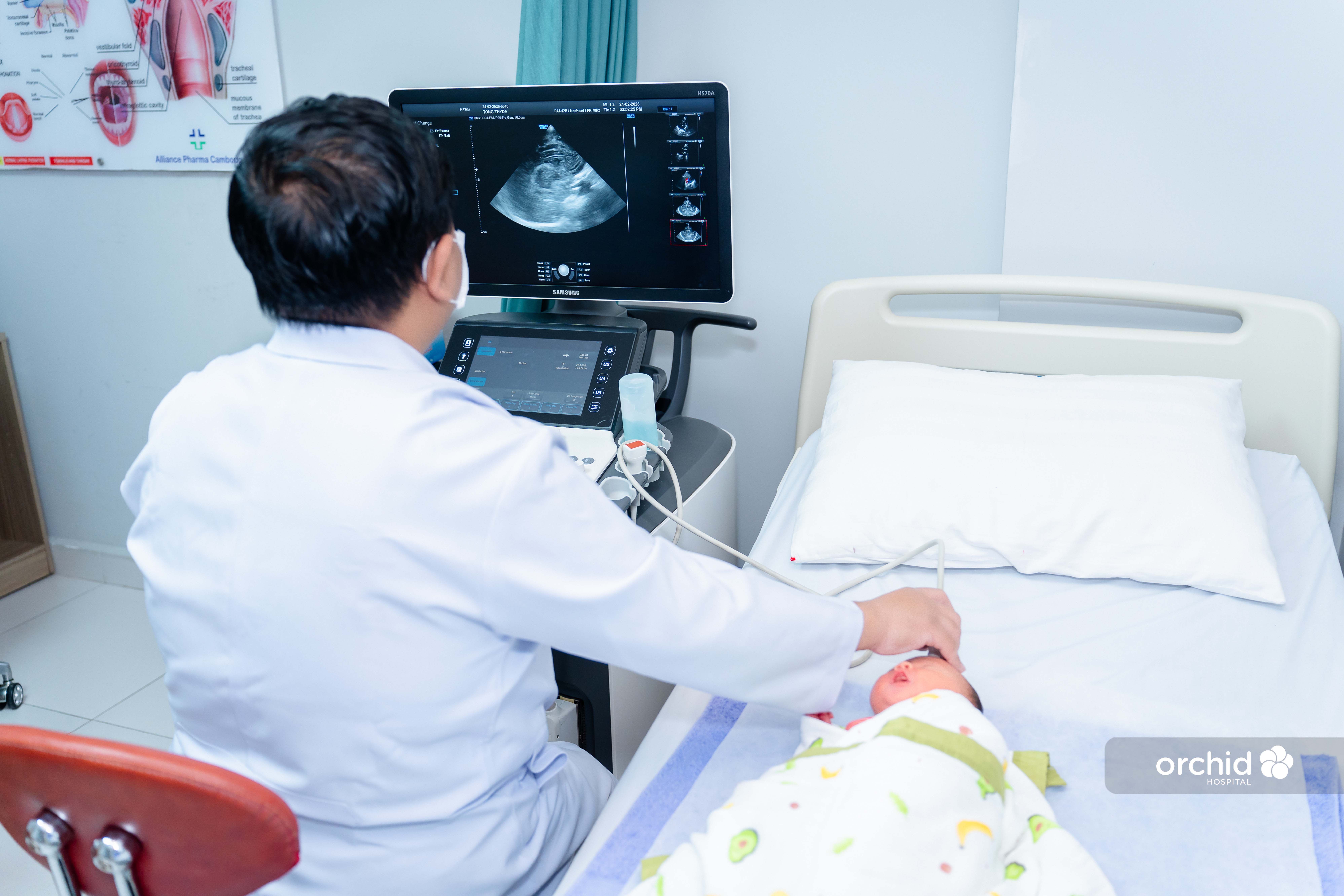 Cardiology