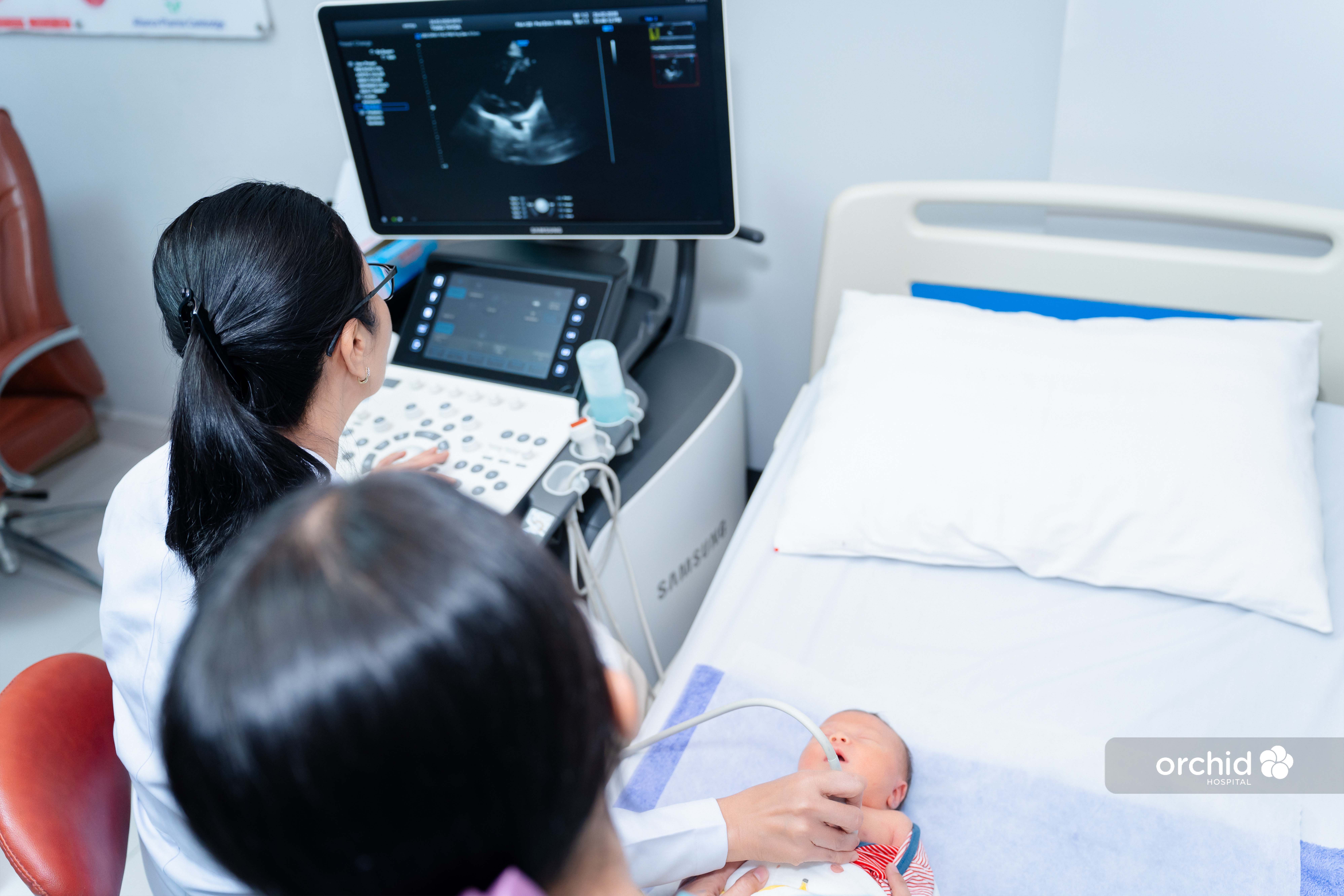 Cardiology